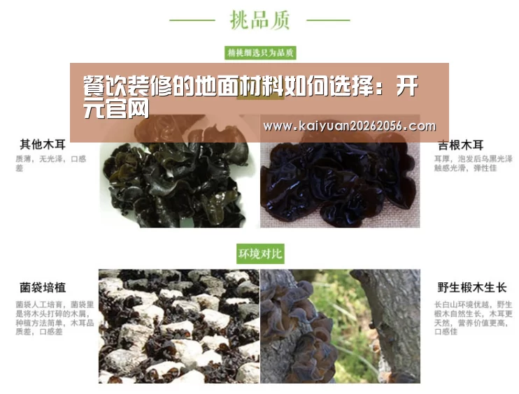 餐饮装修的地面材料如何选择:开元官网(图2) 开元APP